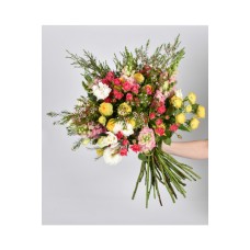 Bright Spring